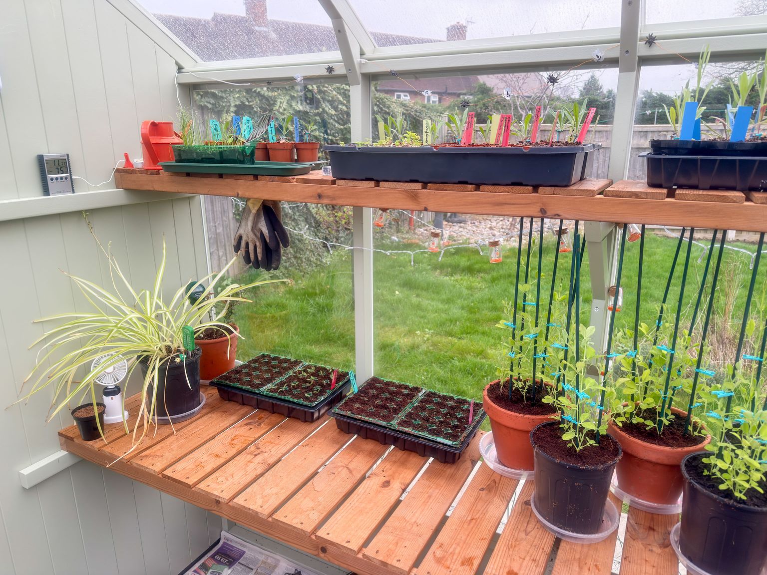 Project image for Studio and Life